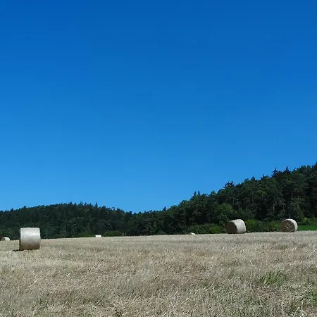 Donauer Im Altmuhltal